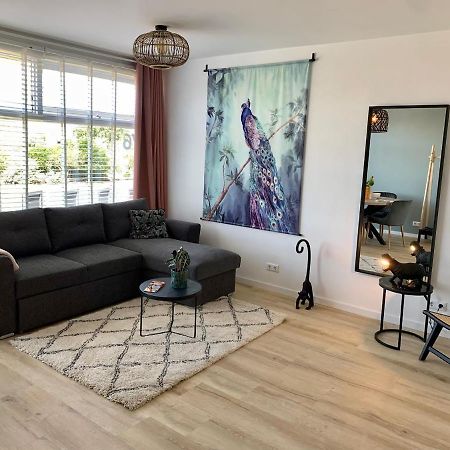 Amsterdam Beach Apartment 76 Zandvoort Zewnętrze zdjęcie